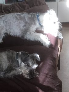 71d49acd-b11c-43ca-92db-f4449ad856d5