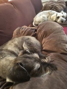 eda786a4-ea58-475b-a472-a4cdcc2d53a3