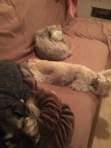 009EA0E4-45EC-4580-A0CF-10A0097F5790