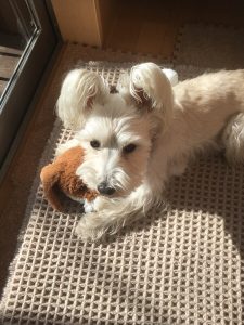 09C26033-1E73-4045-9F1C-7CC81C571A65