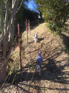 0A9E6861-E9DA-4295-9307-35C7A85726AB