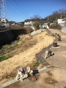 0B03BB28-84A8-4874-B824-DBA05859916A