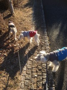 0F22ACFC-960D-43E9-9100-204C38FE3224