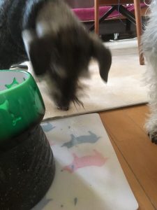 12FF513C-F533-4460-9EE5-62BC788F964F