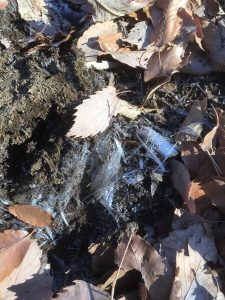 147689ED-1EBE-4507-92D3-27383F0D7FEC