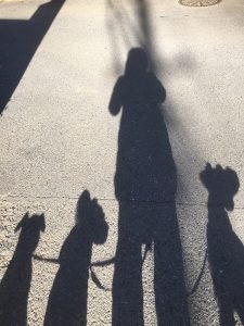 166DFC61-A772-42F1-9058-A900CA0BA867