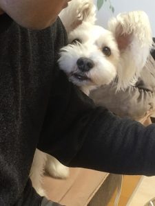 19880231-6a1d-418d-8336-b131dfe0be70