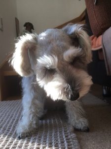 2306A1B0-CACD-4B3C-9FFF-3354ABEFAF37