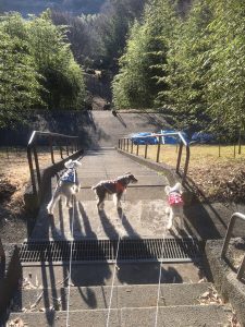 234E3116-E35C-4FB7-85FB-4E5707DF8C65