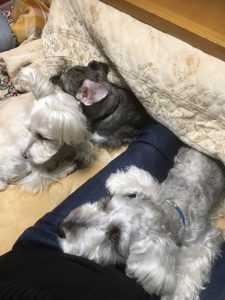 27a6a238-3ba1-456f-ac78-4ba1d7331979