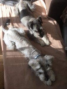 3A35982C-651F-4782-B969-12F14D2960E2