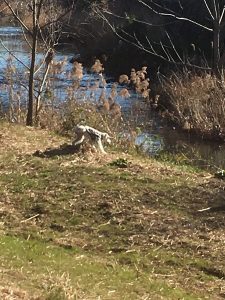 4278953D-F19B-438E-93F2-7B8D334C22FB