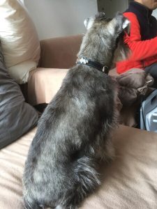 4698D2E5-7C71-43A3-AC4C-7B1EDD3D0D9A