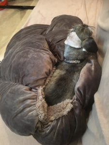 4ef68dd9-32ad-4c9b-8623-ea5660054d4b