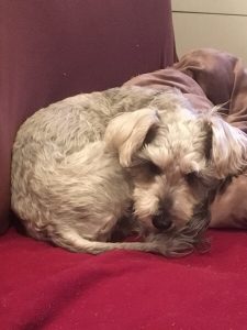 50893B58-62FA-4CFD-B416-26B14C420307