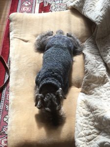 597FDC9F-FB7C-4043-A5ED-E5D5C8CCCD7F