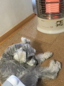 65191816-ab8e-48c5-ba9e-e40e411ab73d