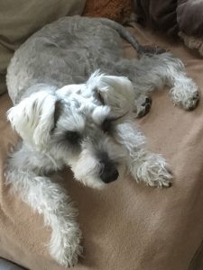 699f7c7b-e495-4365-bea3-2dda552d9dc7