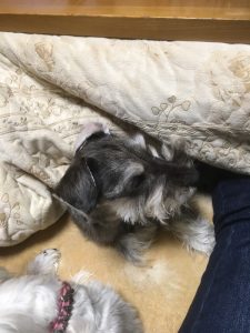 72b821e3-892f-40f0-9b8c-547cea527ef0