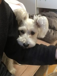 78429da0-5908-4855-a78b-4667db0a4090