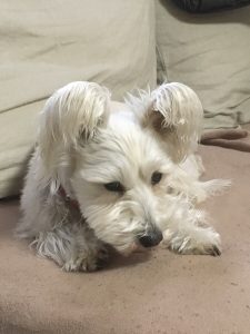 7AC2441E-B0F4-4F7C-B4E3-4A30735596D0