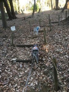 8110D0B2-1F99-4250-8CDB-74895FAC8F18