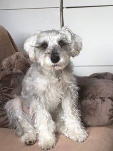 8D128423-FBB0-4F67-81EA-F5842AA67B67