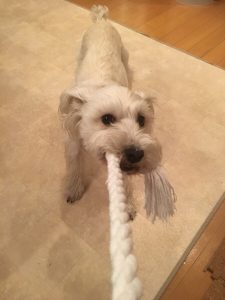 95D7BFB0-0ED5-4981-903C-2FD153DC0B15