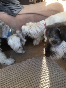 997E9F83-FD96-415D-84C3-A52B3EDA7FE6