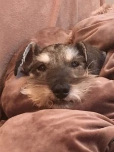 9b7741c1-3ba5-4883-a9e0-1320a0bc7255