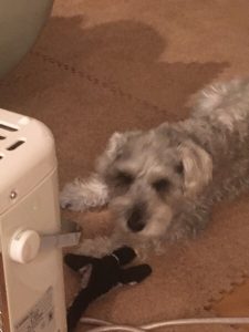 9F12F360-EF72-4FEB-8916-A1AFD48F1EF3