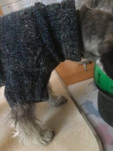 A7E2768B-AA33-41A5-87FA-3F37DD0475A4