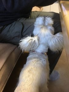 ac5d4623-5ec9-4553-8f13-97f8952b2013