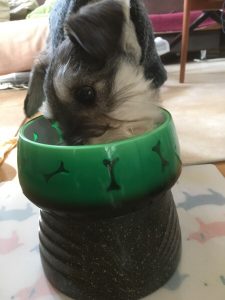 AC808427-6590-4232-B895-DA43B9143271