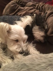 AEDC8ADE-758F-40F0-9A3E-D2580715B1AA