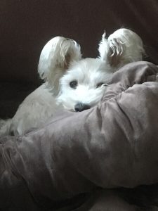 b3ea8ef2-3d75-4430-8eaa-91a4d3f0c94a