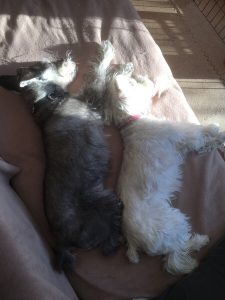 BE432D38-BF3B-493D-8622-0A6D584B3AEB