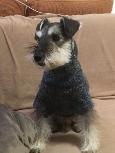 C4CD63DA-00CA-40FB-B054-2EA101CE44C0