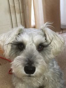 E13B668D-3EE4-4289-8CCA-8D83C24B66AF