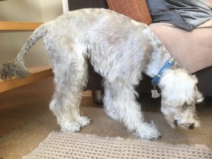 E52F802D-667F-4BF3-8302-8875825C9ECB