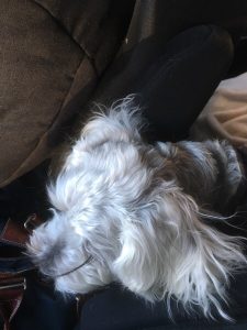 F1D69BAD-C045-40F4-880D-8B1954D45179