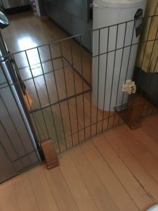 f4993851-5101-45c9-8108-3c916d6fd774