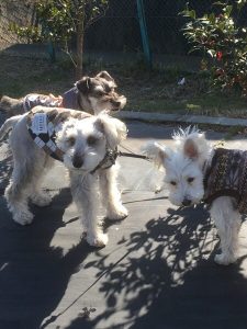 F820E9C1-E6F9-4029-97E7-61F5281B07A7