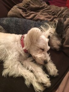 F88FC21C-85C8-48CA-96B6-01182D77EB29