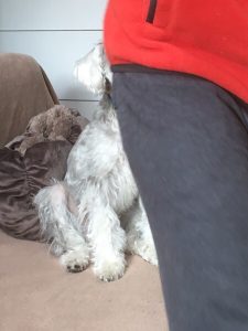 FA144A3C-088B-4DF1-AD84-3145A36EE620