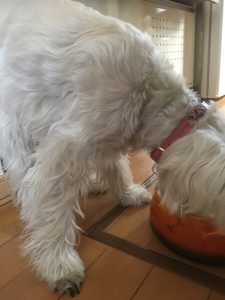 FBC3266F-B152-446C-9283-07D20751B489