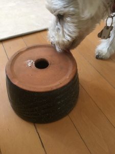 FFAEA288-CCC7-49DF-93DC-5597C2D856C1