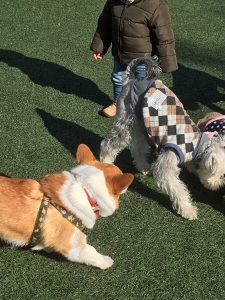 0106F52E-0339-4364-86CE-BCF58A43C749