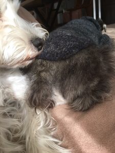 0567E0B6-E691-43E5-A49D-4CEDA762BDFF