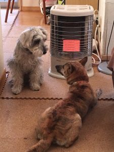 05E5BE59-F286-45C0-851B-0660CFF0B350